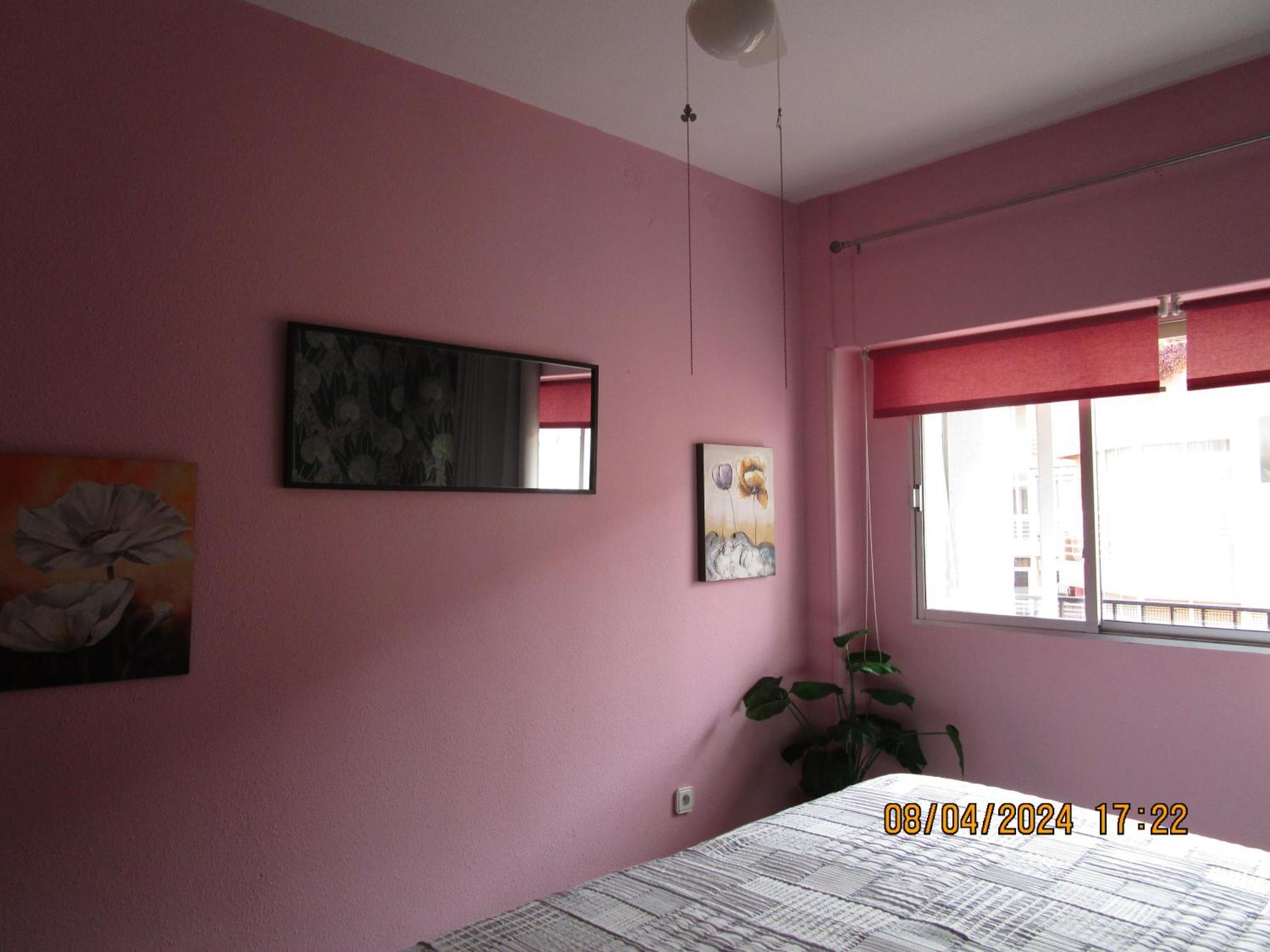 Appartamento Rosamar Torrevieja Esterno foto